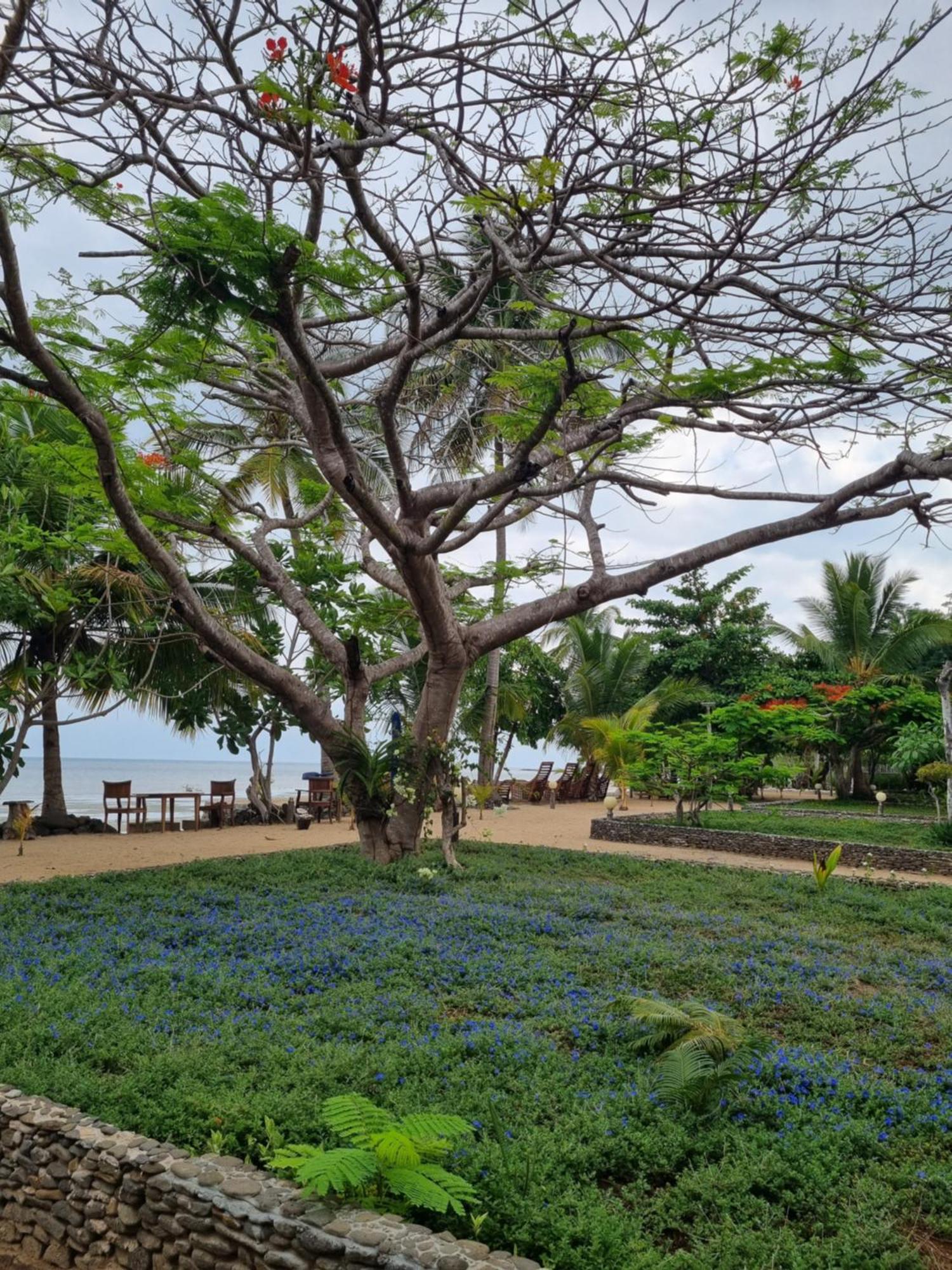 Sangany Lodge Befotaka Bay エクステリア 写真